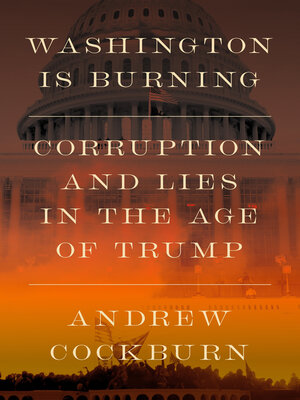 cover image of Washington Is Burning